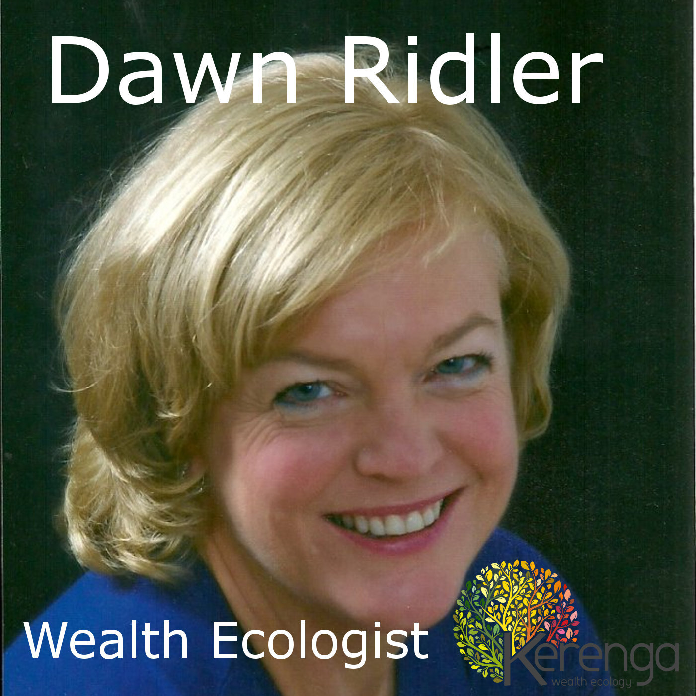 Wealth Ecology podcast, week 45 2016